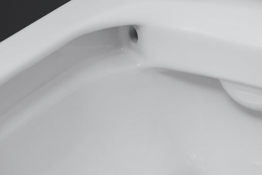 DURAVIT 2562092092 No.1 Wall Mounted Toilet