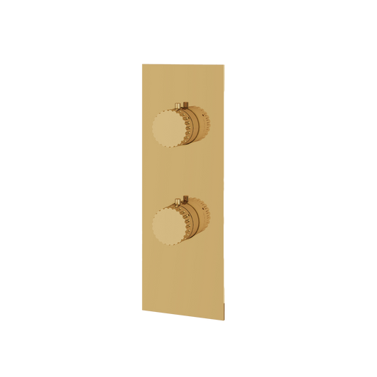 SQUARE ROUND TRIM SET WITH 2-WAY SHARED DIVERTER FOR THERMOSTATIC VALVE