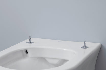 DURAVIT 2576092092 Tulip Wall Mounted Toilet