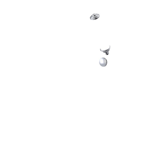 RUBINET T1JRV2L Wall Mount Single Control Lav Set With Extended Spout. (Less Drain) Trim Only