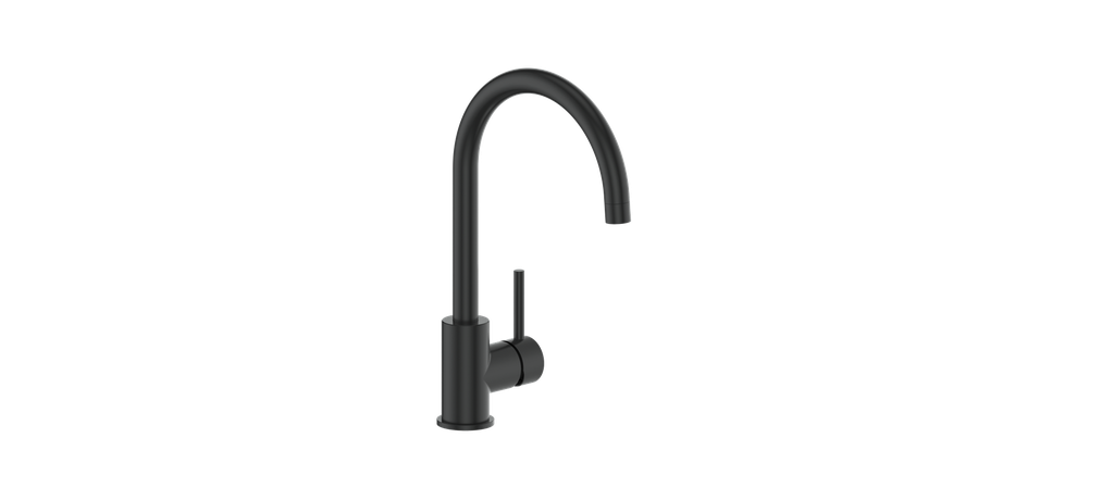 Vogt Klein Single Function Kitchen Faucet CC