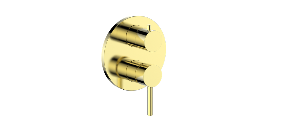 Vogt Worgl Trim for 2-Way PB Valve CC