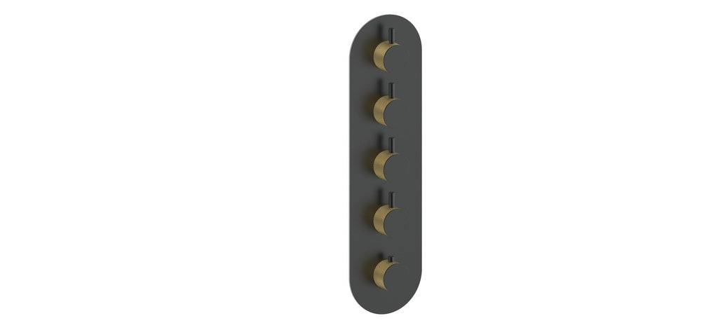 Vogt Drava Trim for 3/4" High-Flow TH Valve with 4 Volume Controls CC
