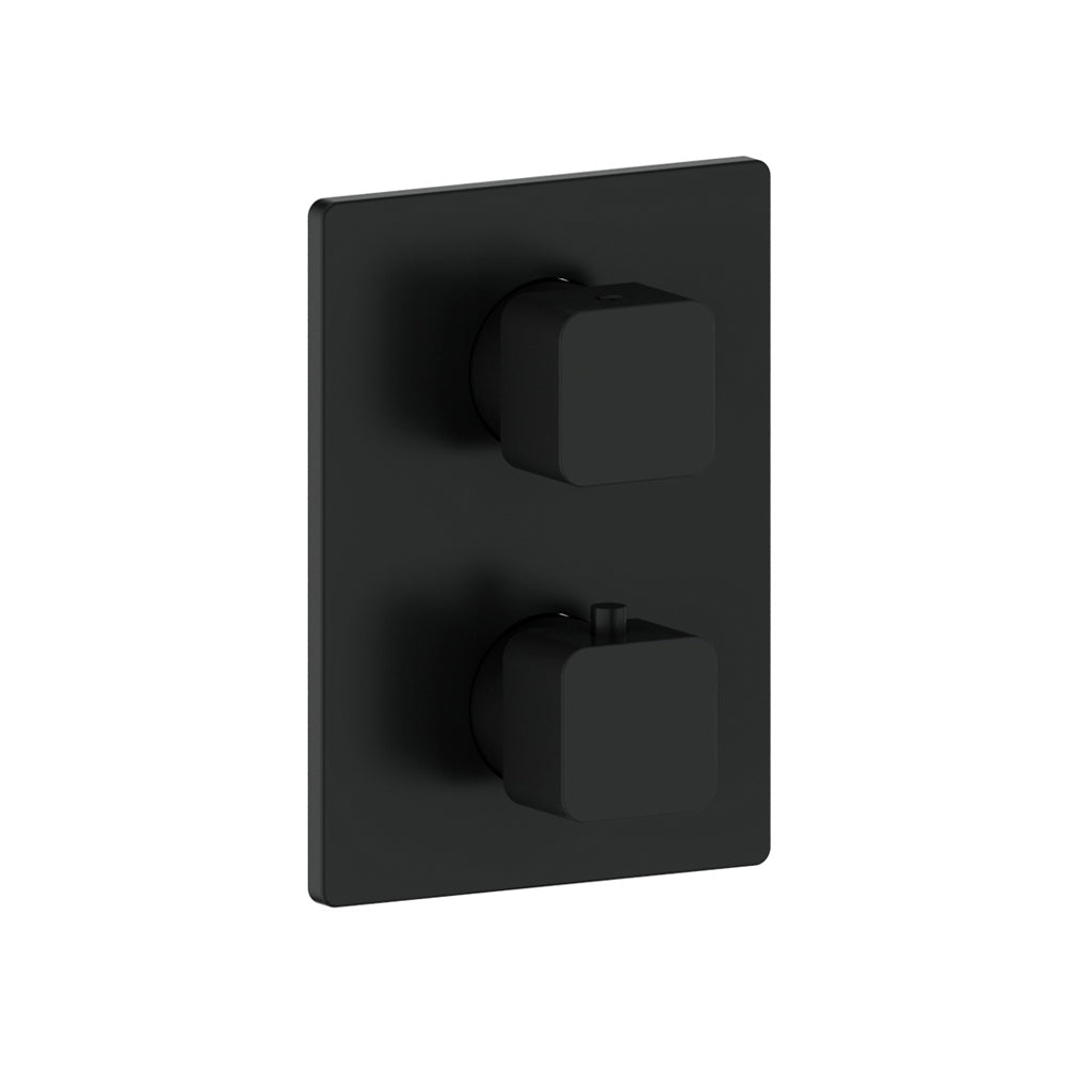 Vogt Niveau Trim for 2-Way TH Valve CC