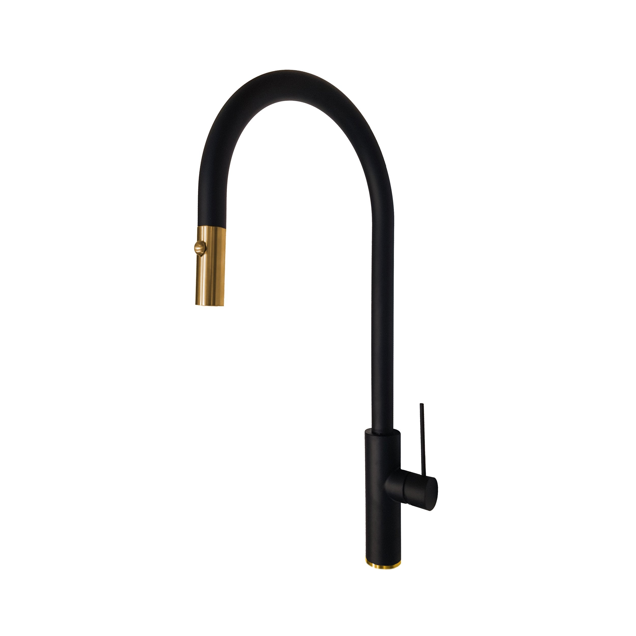 DISEGNO TOPD4 Top D4 Dual Spray